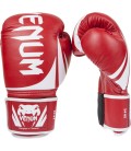 Boxing & Muay Thai Gloves